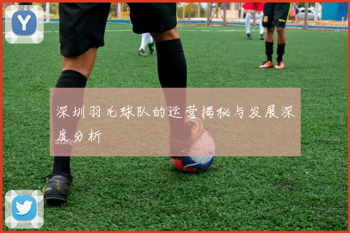 深圳羽毛球队的运营揭秘与发展深度分析
